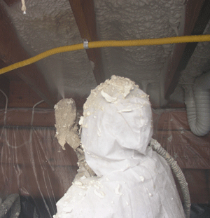 Trenton NJ crawl space insulation